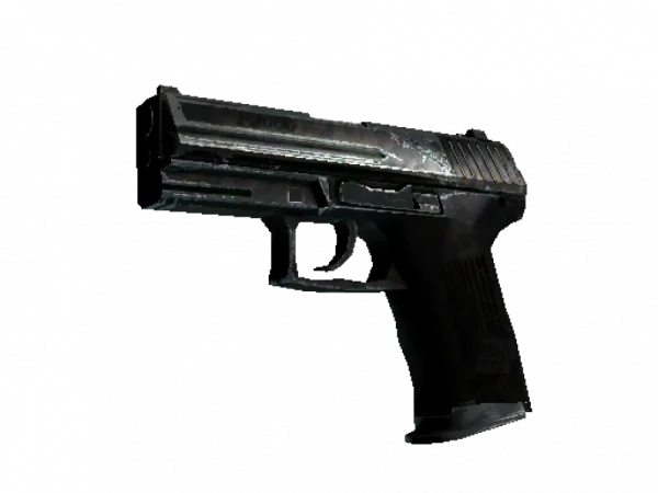 P2000 | Panther Camo (Well-Worn)