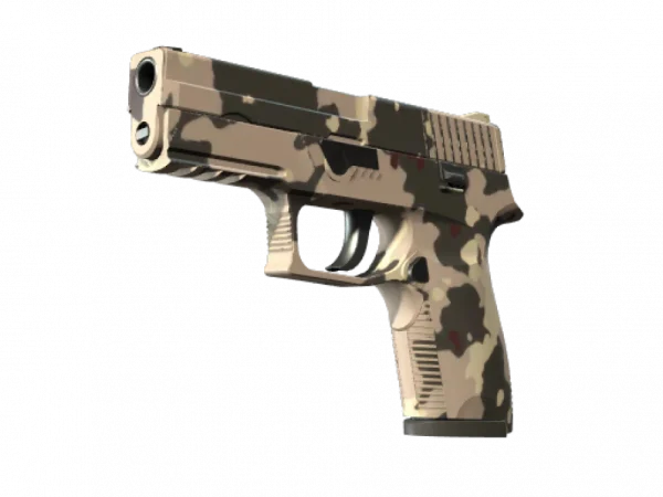 P250 | Black & Tan (Factory New)