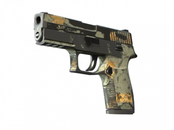 P250 | Modern Hunter (Battle-Scarred)