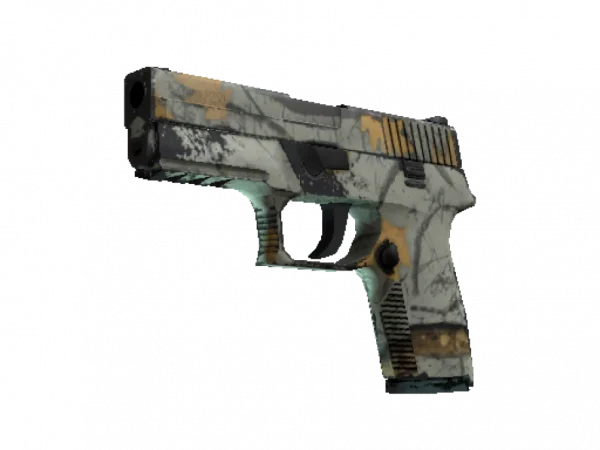 P250 | Modern Hunter (Field-Tested)