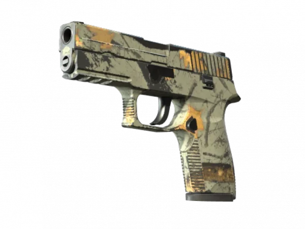 P250 | Modern Hunter (Well-Worn)