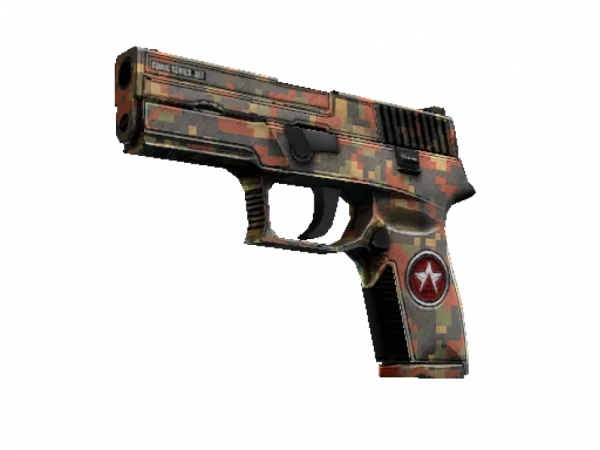 P250 | Red Rock (Well-Worn)