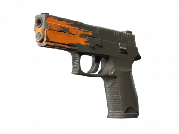 P250 | Splash (Field-Tested)