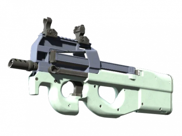 P90 | Storm (Factory New)