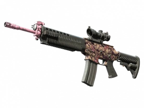 SG 553 | Desert Blossom (Field-Tested)