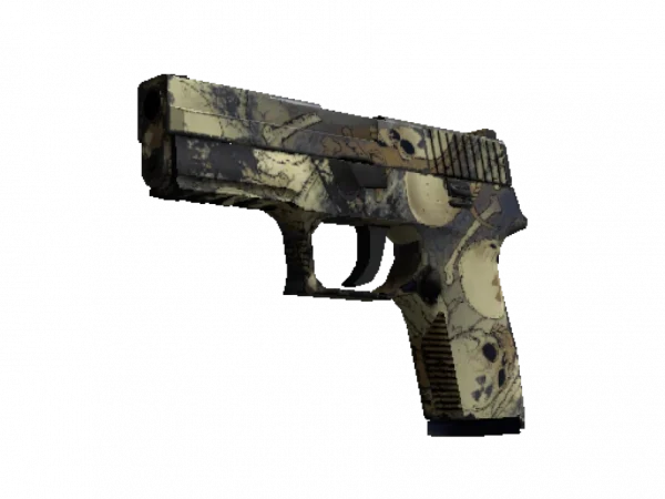 P250 | Contamination (Well-Worn)