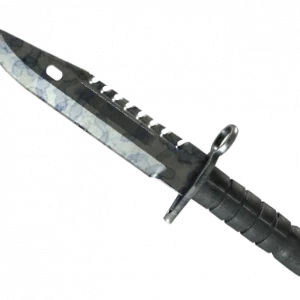 ★ M9 Bayonet | Stained (Well-Worn)