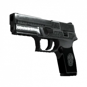 StatTrak™ P250 | Cartel (Well-Worn)