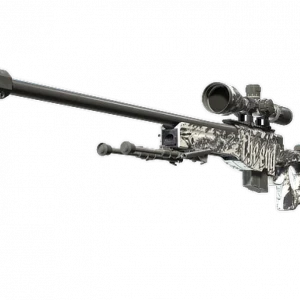 AWP | The End (Well-Worn)
