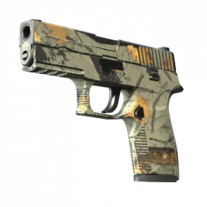 P250 | Modern Hunter (Well-Worn)