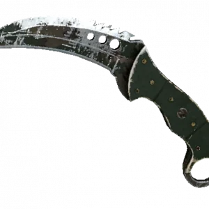 ★ StatTrak™ Talon Knife | Forest DDPAT (Battle-Scarred)