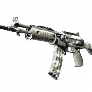 Galil AR | Winter Forest (Field-Tested)