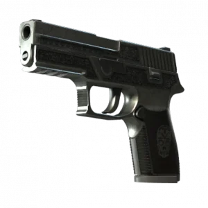 StatTrak™ P250 | Cartel (Battle-Scarred)