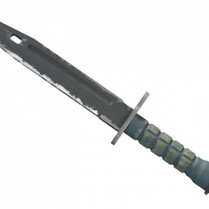 ★ Bayonet | Night (Well-Worn)