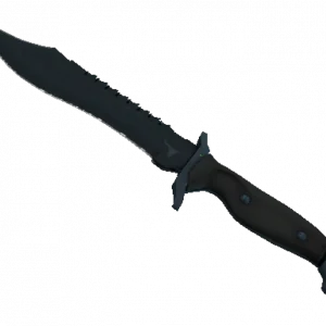 ★ Bowie Knife | Night (Minimal Wear)