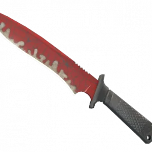 ★ Classic Knife | Crimson Web (Well-Worn)