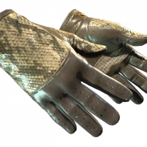 ★ Driver Gloves | Diamondback (Field-Tested)