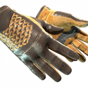 ★ Driver Gloves | Overtake (Well-Worn)