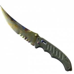 ★ Flip Knife | Case Hardened (Well-Worn)