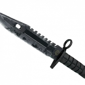 ★ M9 Bayonet | Night (Battle-Scarred)