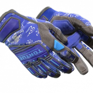 ★ Specialist Gloves | Cloud Chaser (Well-Worn)