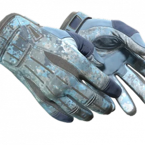 ★ Sport Gloves | Frosty (Well-Worn)