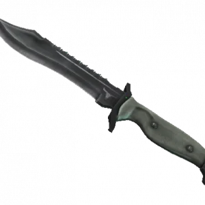 ★ StatTrak™ Bowie Knife