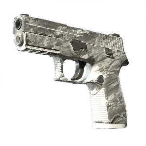 Souvenir P250 | Sleet (Field-Tested)