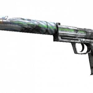 Souvenir USP-S | Road Rash (Factory New)