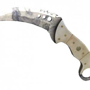 ★ StatTrak™ Talon Knife | Stained (Minimal Wear)