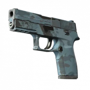 Souvenir P250 | Forest Night (Well-Worn)