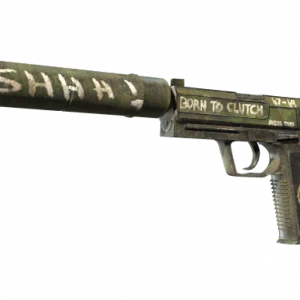 Souvenir USP-S | Flashback (Minimal Wear)