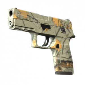 P250 | Modern Hunter (Minimal Wear)