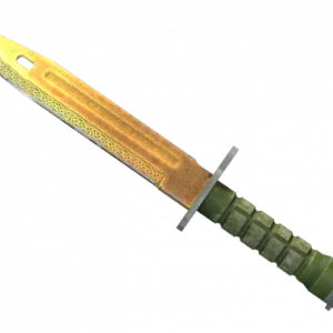 ★ Bayonet | Lore (Well-Worn)